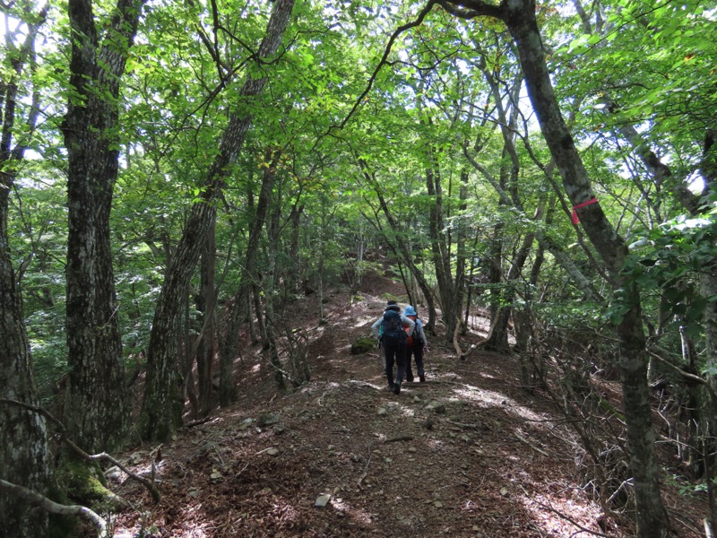 黒岳　御坂山