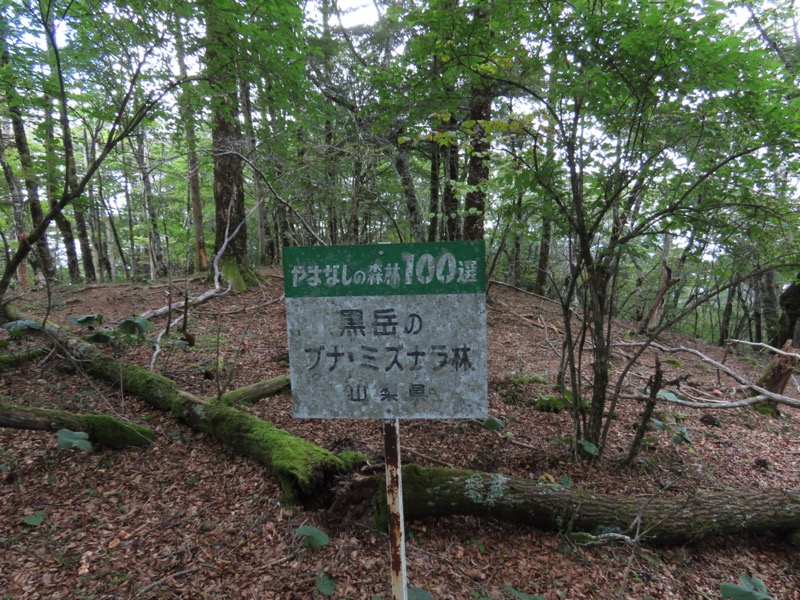 黒岳　御坂山