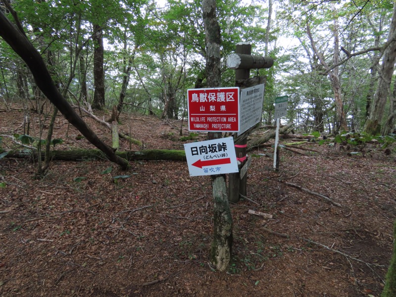 黒岳　御坂山