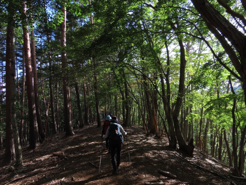 黒岳　御坂山