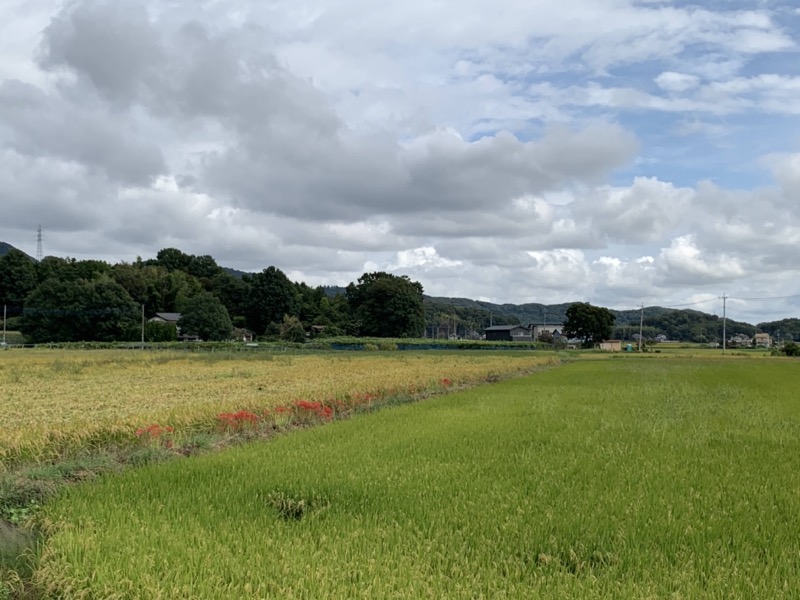 太平山、馬不入山、晃石山