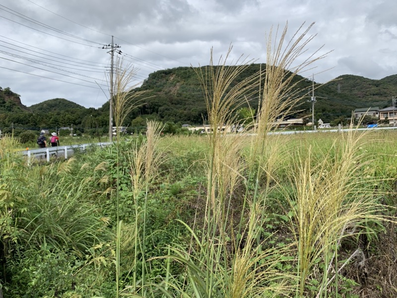 太平山、馬不入山、晃石山