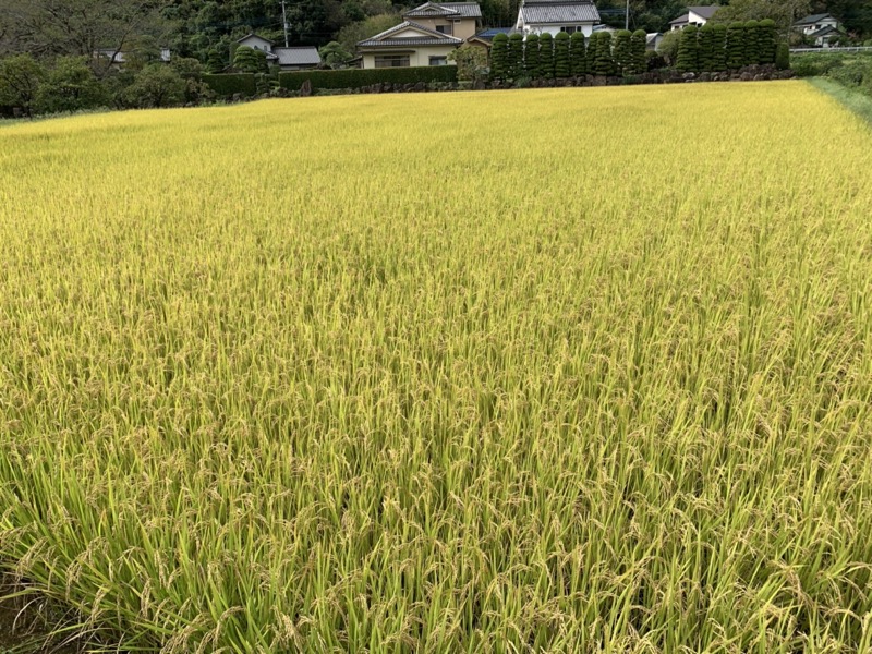 太平山、馬不入山、晃石山