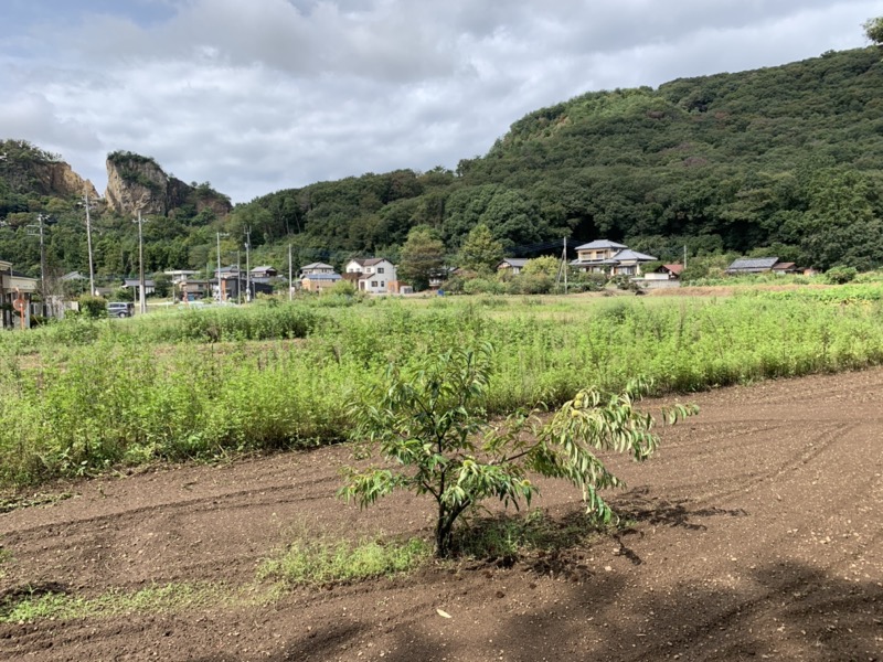 太平山、馬不入山、晃石山