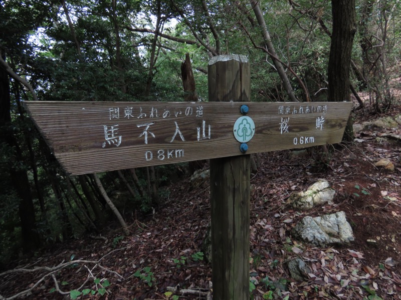 太平山、馬不入山、晃石山