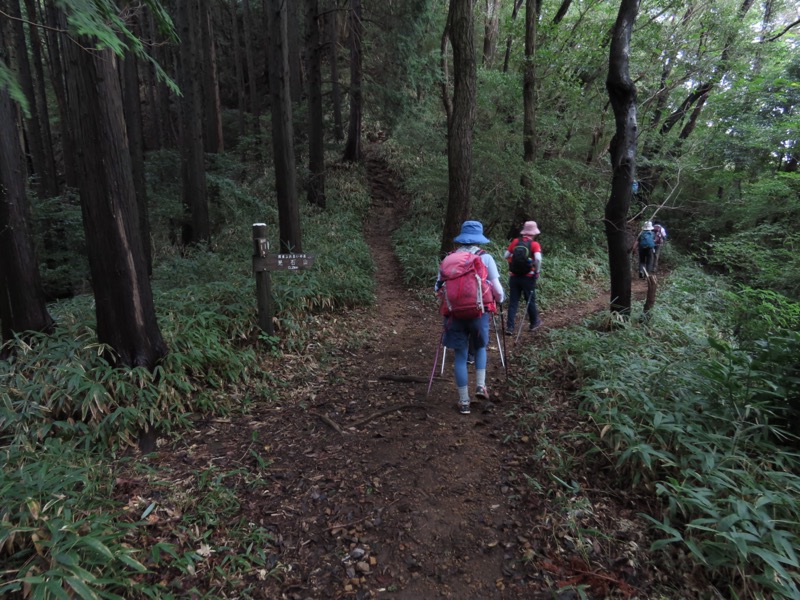 太平山、馬不入山、晃石山