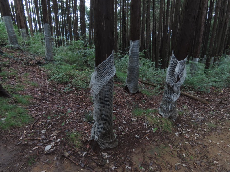 太平山、馬不入山、晃石山