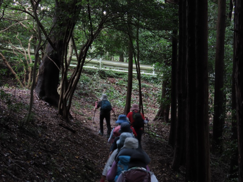 太平山、馬不入山、晃石山