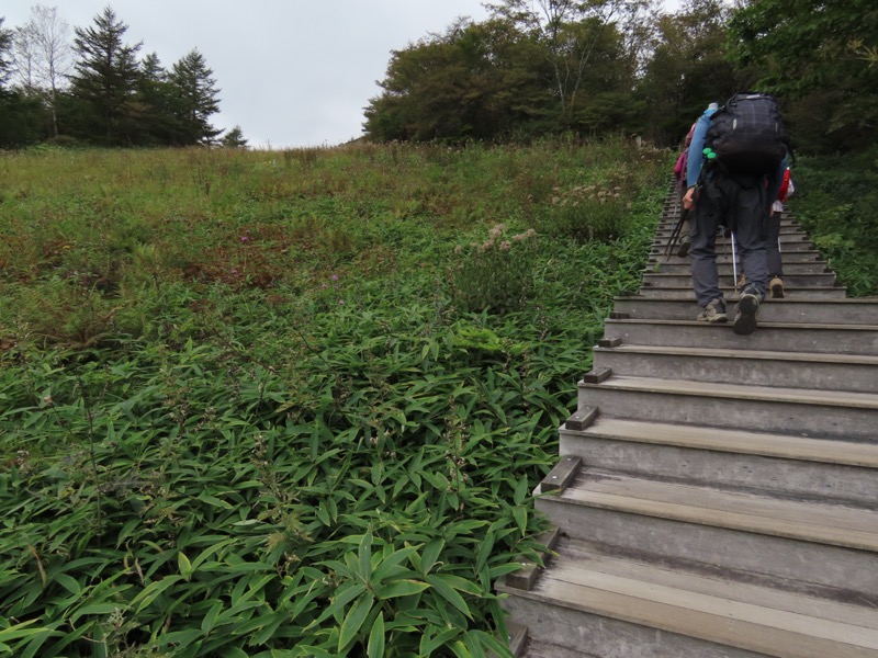 霧降高原　丸山