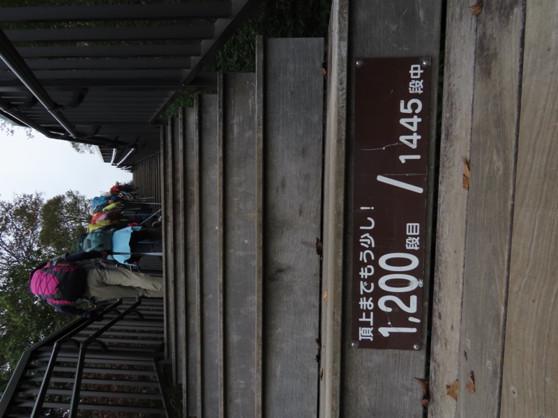 霧降高原　丸山