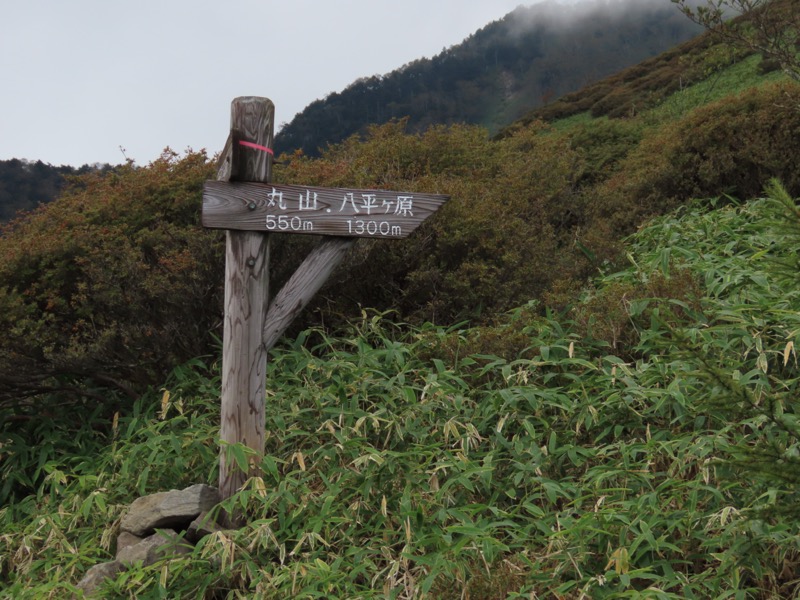 霧降高原　丸山