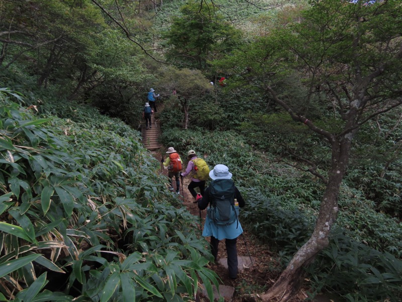 霧降高原　丸山