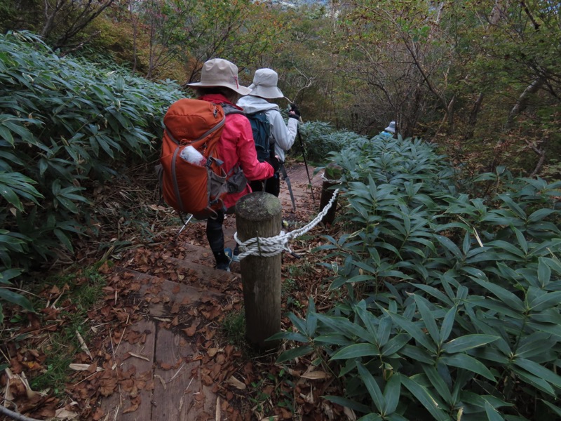 霧降高原　丸山