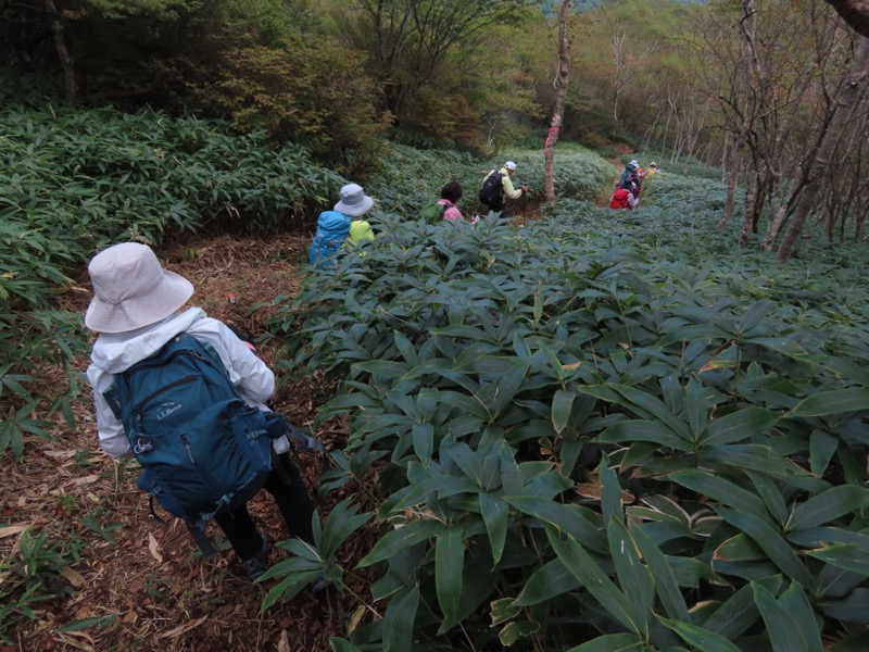 霧降高原　丸山