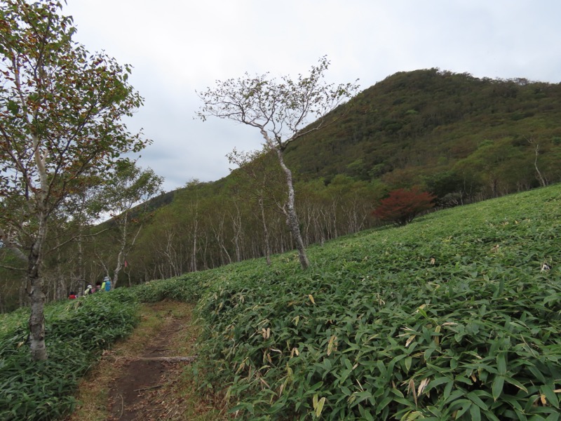 霧降高原　丸山