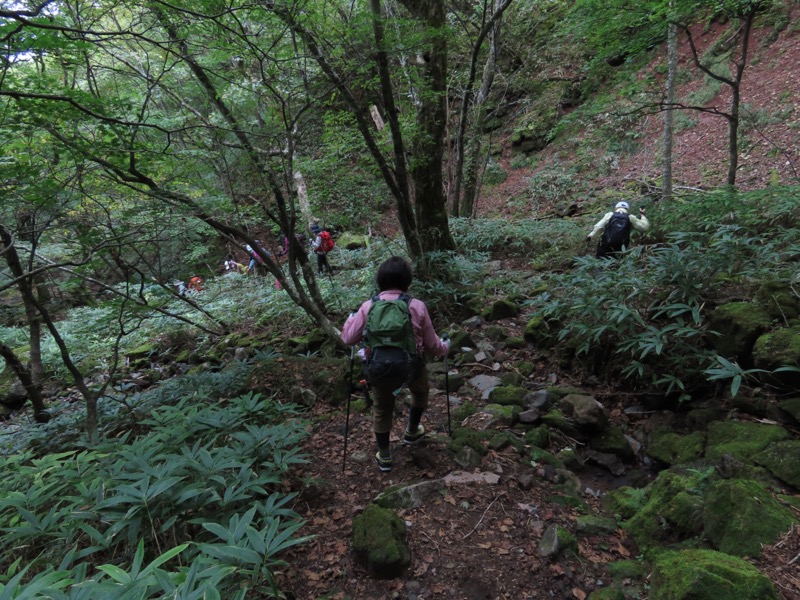 霧降高原　丸山