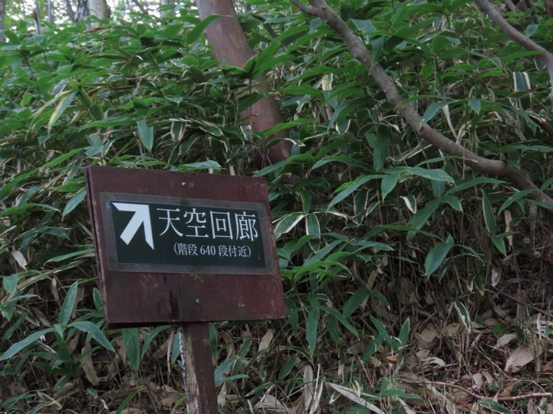 霧降高原　丸山