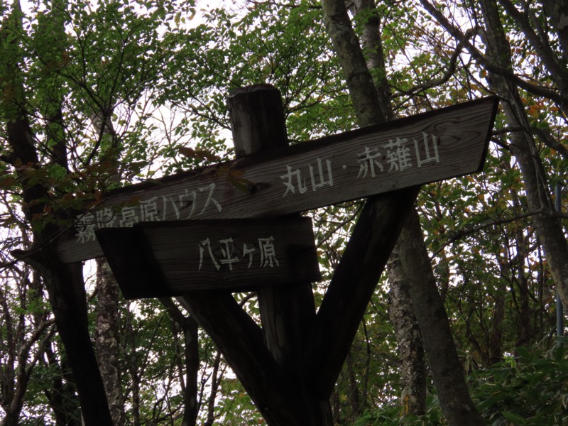 霧降高原　丸山