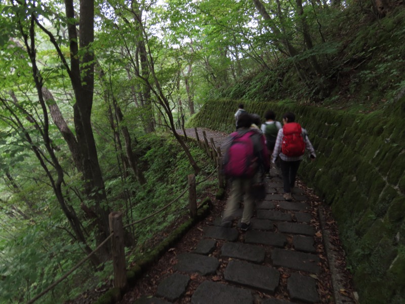 霧降高原　丸山