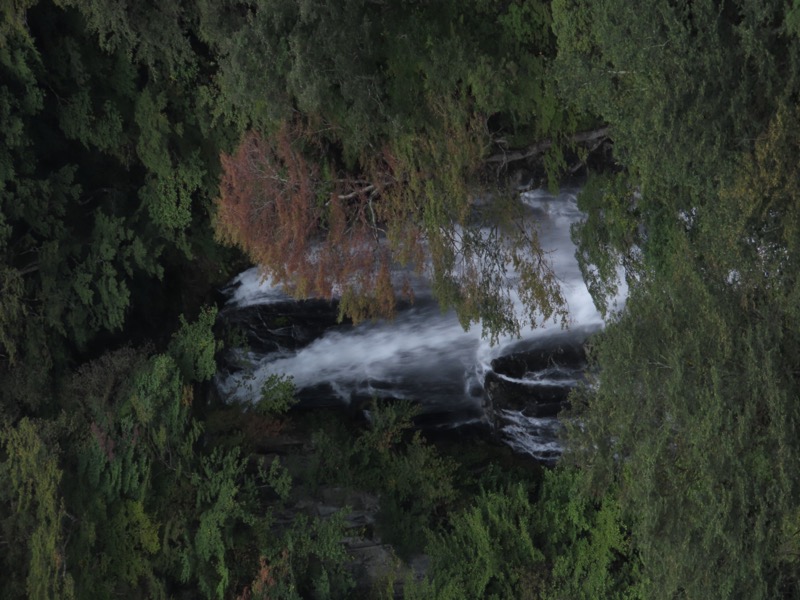 霧降高原　丸山