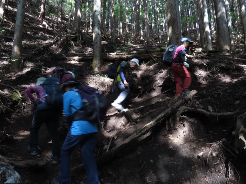 扇山、百蔵山