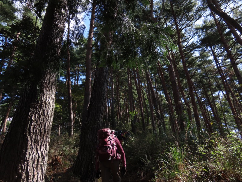 扇山、百蔵山