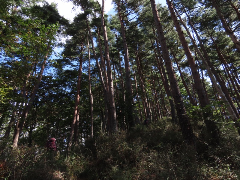 扇山、百蔵山