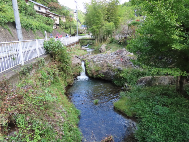 青梅丘陵