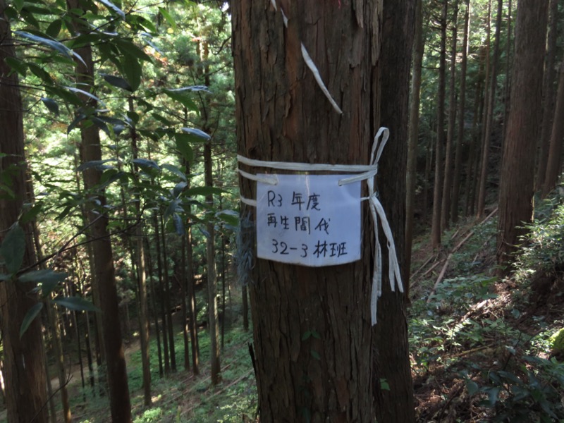 青梅丘陵