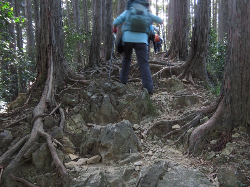 青梅丘陵