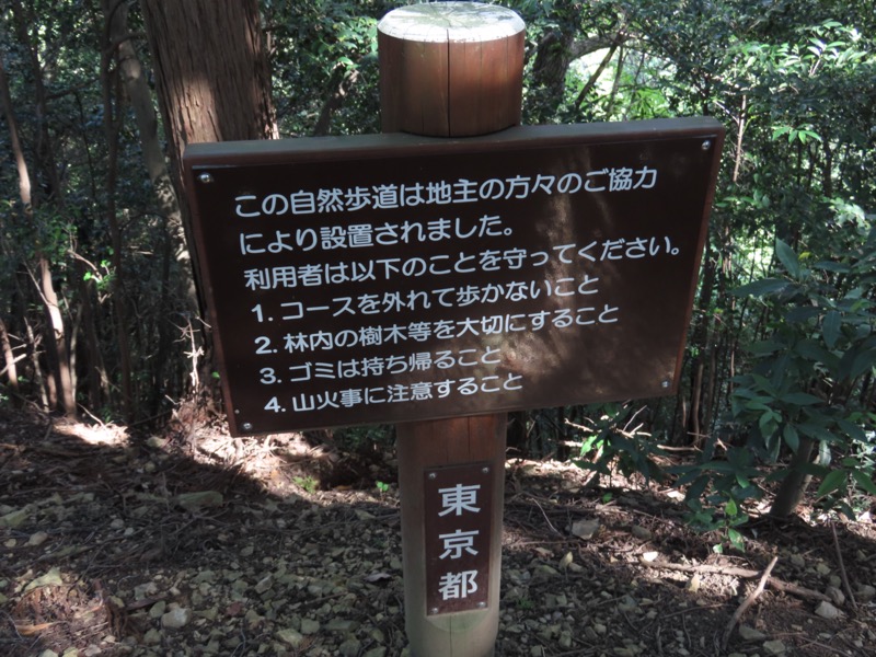 青梅丘陵