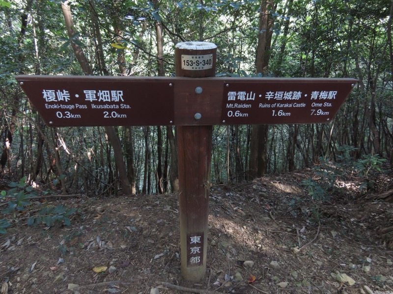 青梅丘陵