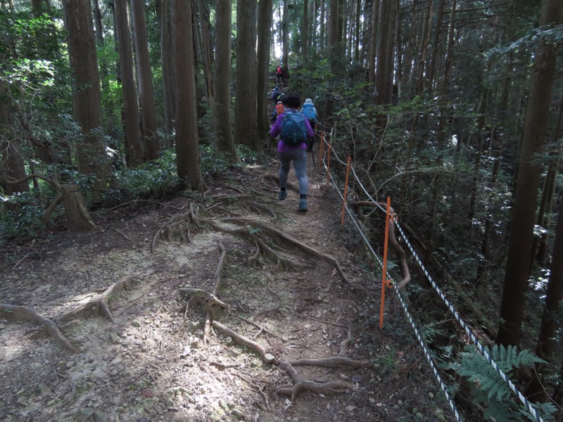 青梅丘陵