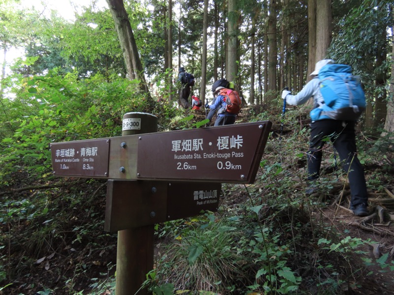 青梅丘陵