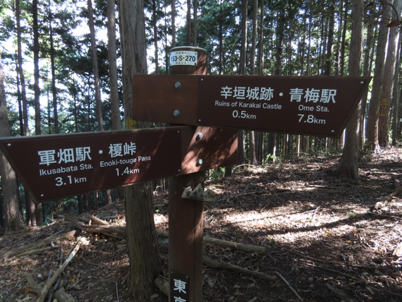 青梅丘陵