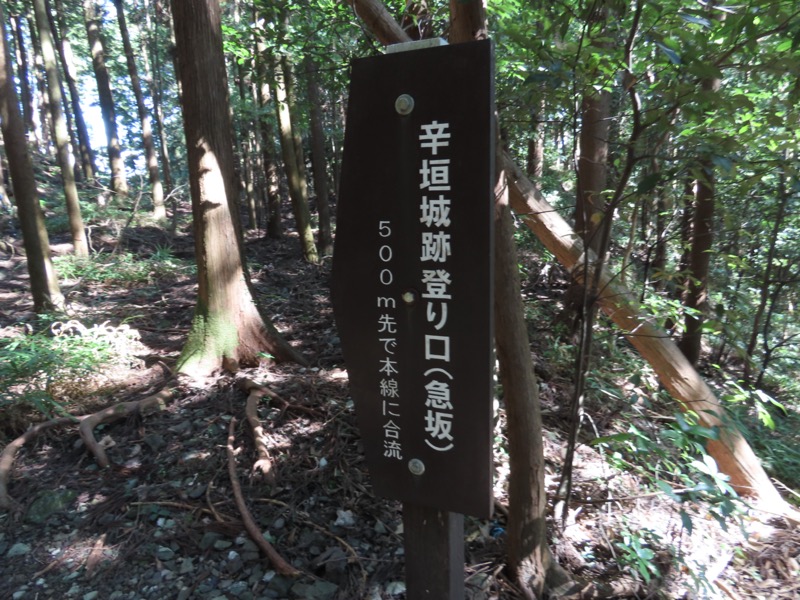 青梅丘陵