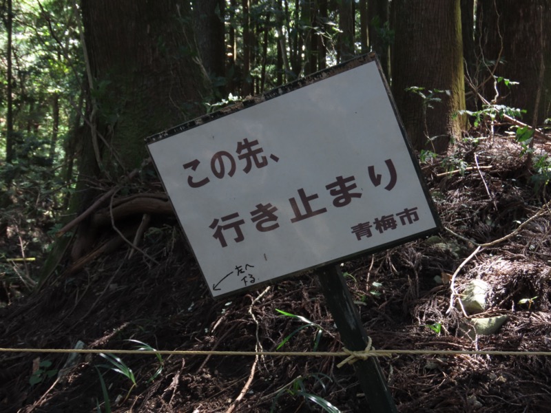 青梅丘陵