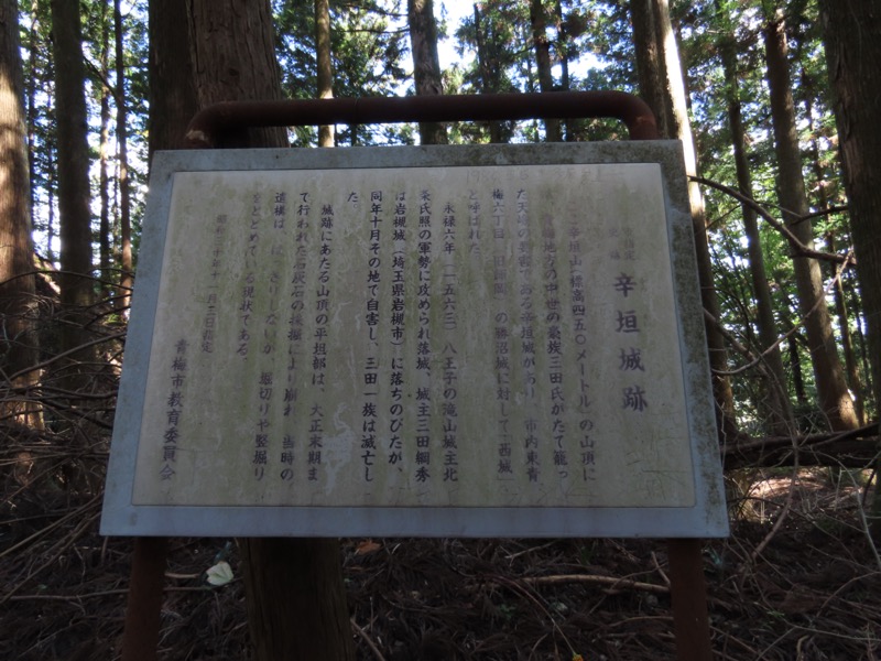 青梅丘陵