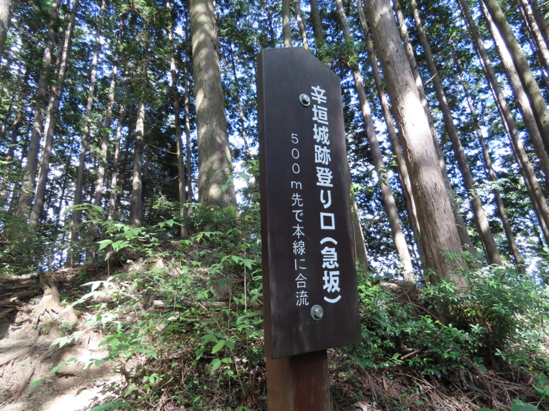 青梅丘陵