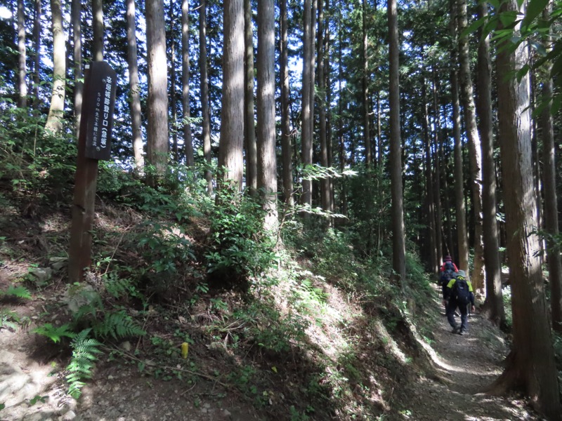 青梅丘陵