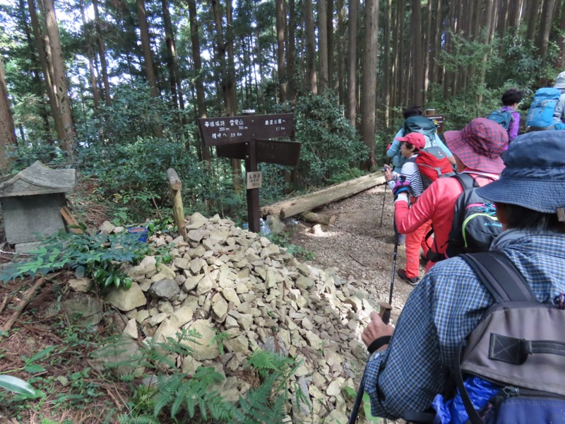 青梅丘陵