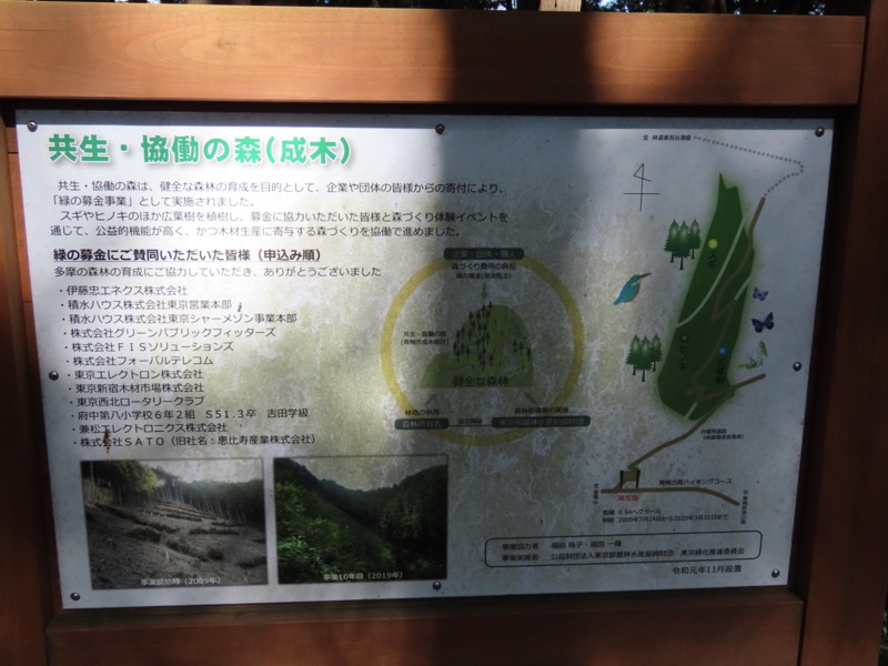 青梅丘陵