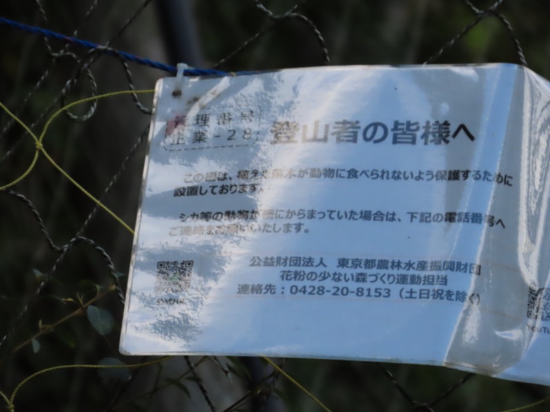 青梅丘陵