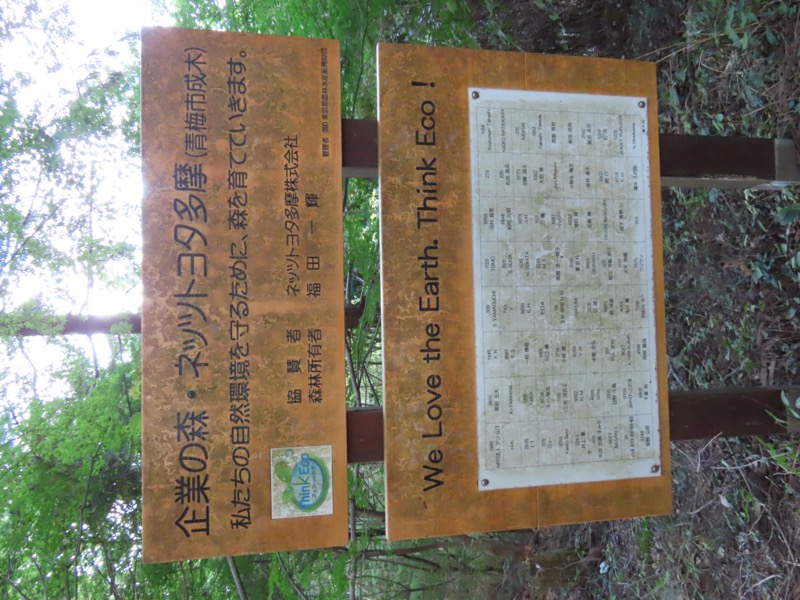 青梅丘陵
