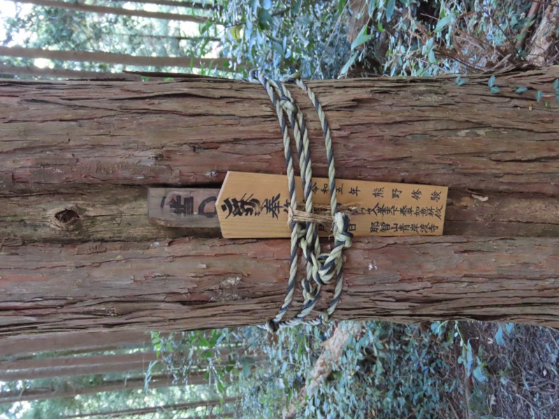 青梅丘陵