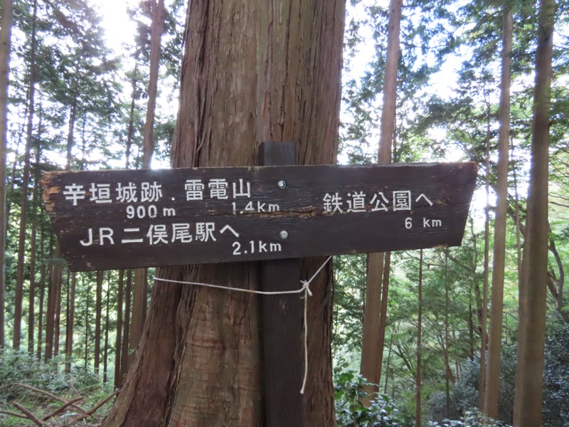 青梅丘陵