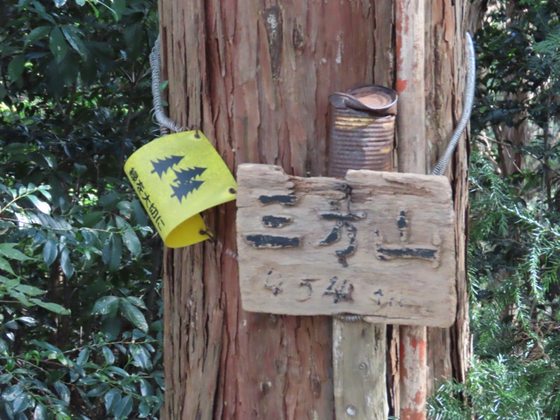青梅丘陵