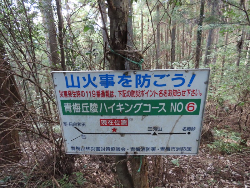 青梅丘陵