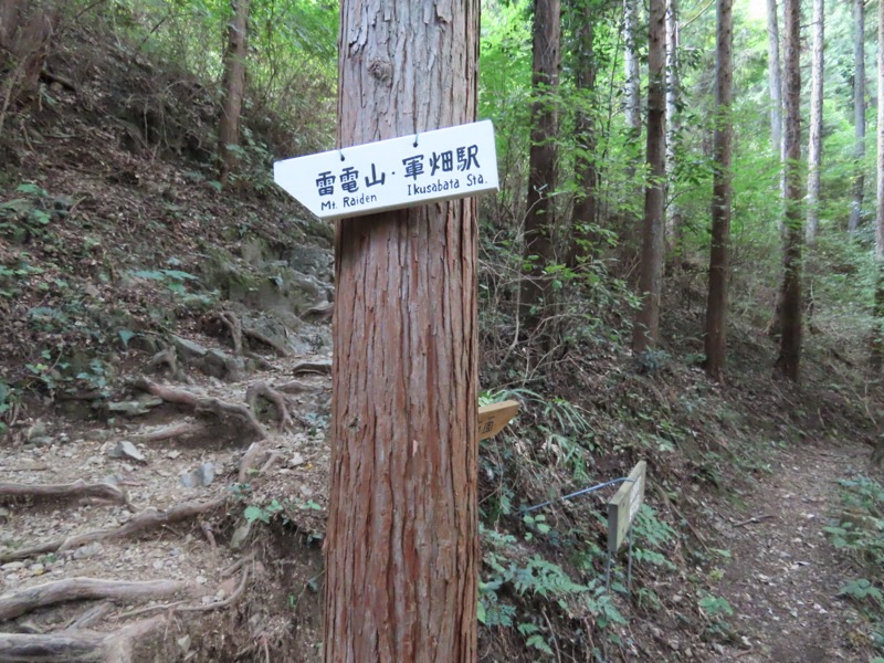 青梅丘陵