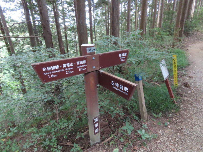 青梅丘陵